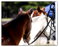 2020.01.25 USC Aiken vUV Polo